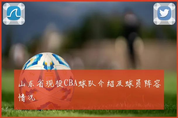 山东省现役CBA球队介绍及球员阵容情况