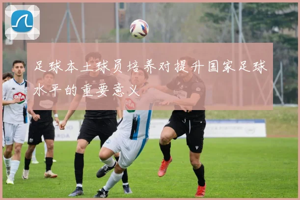 足球本土球员培养对提升国家足球水平的重要意义