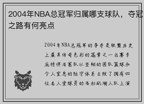 2004年NBA总冠军归属哪支球队，夺冠之路有何亮点